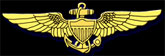 Navy Pilot Wings