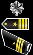 Navy Commander's Sleeve