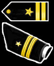 Navy Lt. Sleeve Stripes